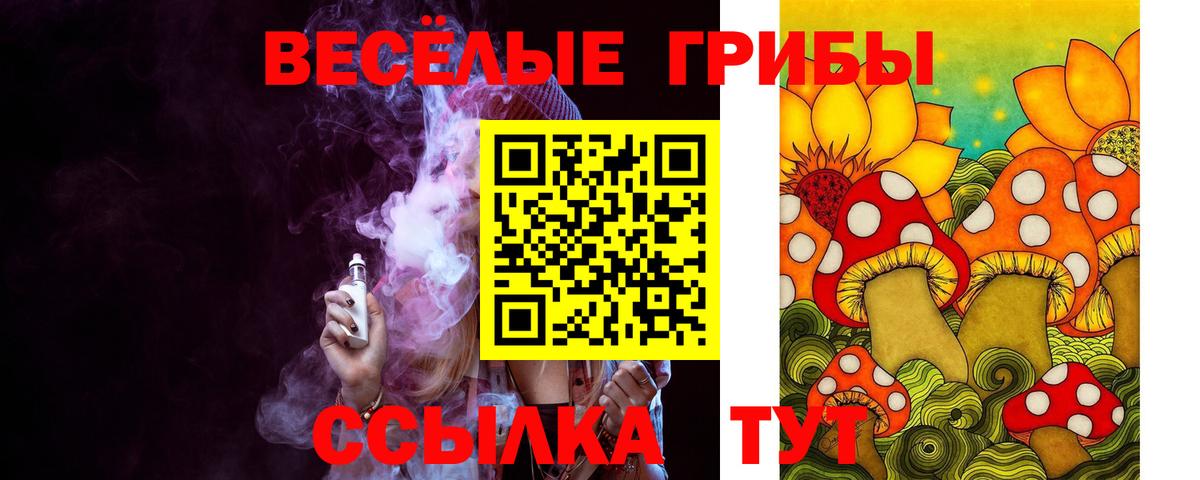 Кизляр  где продают   Псилоцибиновые грибы мухоморы  Вход с VPN  Галлюциногенные грибы мухоморы 