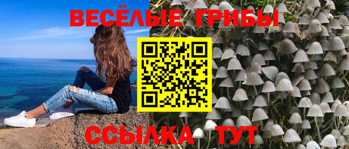Псилоцибиновые грибы Magic Shrooms Кизляр
